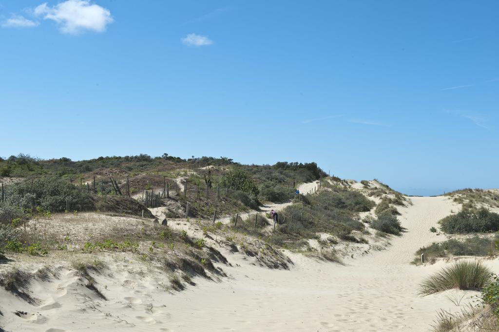 Evancy Etoile Des Dunes Бре-Дюн Экстерьер фото