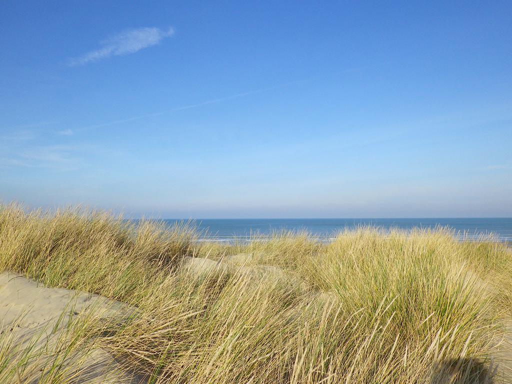 Evancy Etoile Des Dunes Бре-Дюн Экстерьер фото